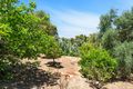 Property photo of 20 Nelson Crescent Lesmurdie WA 6076