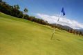 Property photo of 11 Downing Street Earlville QLD 4870