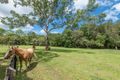 Property photo of 763 Cooroy Noosa Road Lake Macdonald QLD 4563