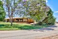 Property photo of 446 Anderson Road Loxton North SA 5333