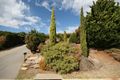 Property photo of 29 Maple Avenue Aberfoyle Park SA 5159
