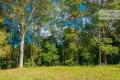 Property photo of 7 High Street Nimbin NSW 2480