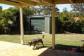 Property photo of 76 Clive Road Birkdale QLD 4159