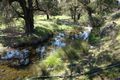 Property photo of 1077 Pandora Pass Road Bundella NSW 2343