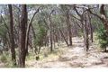 Property photo of 295 North Mountain Road Heathcote Junction VIC 3758