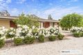 Property photo of 29 Brooks Avenue Willaston SA 5118