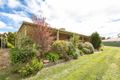 Property photo of 29 Kronk Street Golden Square VIC 3555