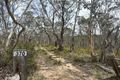 Property photo of 370 Wyanbene Road Wyanbene NSW 2622