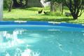Property photo of 49 Warrakin Road Japoonvale QLD 4856