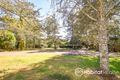 Property photo of 41-43 Lahey Road Tamborine Mountain QLD 4272