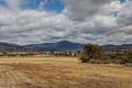 Property photo of 7 Lewis Court Old Beach TAS 7017