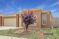 Property photo of 14 Springleaf Road Tarneit VIC 3029