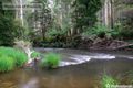 Property photo of 1 Wombat Crescent East Warburton VIC 3799