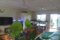 Property photo of 11 Burton Close Malanda QLD 4885