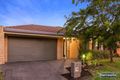 Property photo of 18 Monbulk Crescent Rowville VIC 3178