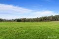 Property photo of 10 Douthie Road Seville VIC 3139