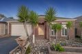 Property photo of 3 Brixton Place Craigieburn VIC 3064