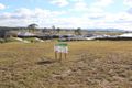 Property photo of LOT 506 Stayard Drive Largs NSW 2320