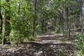 Property photo of 338 Upper Cedar Creek Road Conondale QLD 4552