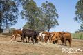 Property photo of 4494 Bruxner Highway Piora NSW 2470