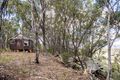 Property photo of 284 Home Hills Road Mount Marsden NSW 2849