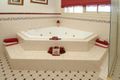 Property photo of 19 Blaxland Place Taylors Lakes VIC 3038