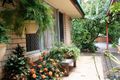 Property photo of 39 Sundew Street Mudjimba QLD 4564