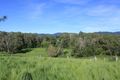Property photo of 208 Euluma Creek Road Julatten QLD 4871