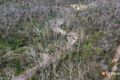 Property photo of 342 Murrabrine Forest Road Yowrie NSW 2550