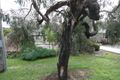 Property photo of 1/5 Selman Avenue Ferntree Gully VIC 3156