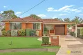 Property photo of 25 Nairobi Place Toongabbie NSW 2146
