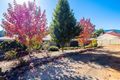 Property photo of 9 Gould Terrace Marysville VIC 3779