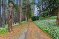 Property photo of 403 Carool Road Carool NSW 2486