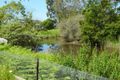 Property photo of 10/3197 Princes Highway Millingandi NSW 2549