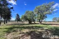 Property photo of 42 Carews Road Gordonbrook QLD 4610
