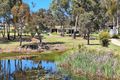 Property photo of 57 Hale Haven Drive Stanthorpe QLD 4380