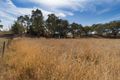 Property photo of 10 Merga Street Cudal NSW 2864