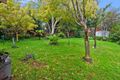 Property photo of 10 Maple Grove Wentworth Falls NSW 2782