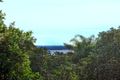Property photo of 1/351A Edgecliff Road Edgecliff NSW 2027