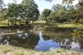 Property photo of 49 Thallon Road Regency Downs QLD 4341