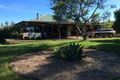 Property photo of 210 Reynolds Road Topi Topi NSW 2423