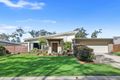 Property photo of 19 Elkhorn Street Mount Cotton QLD 4165
