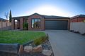 Property photo of 19 Sugargum Crescent Kialla VIC 3631