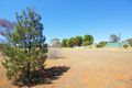 Property photo of 236D Edwards Road Loxton North SA 5333