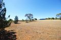 Property photo of 236D Edwards Road Loxton North SA 5333