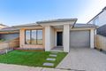 Property photo of 41 Modena Road Fraser Rise VIC 3336