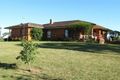 Property photo of 248 Erudgere Lane Erudgere NSW 2850