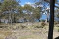Property photo of 19 Wallace Road Doctors Point TAS 7304