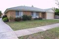 Property photo of 1/55 Tulip Crescent Boronia VIC 3155