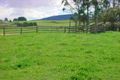 Property photo of 9 Winnaleah Road Winnaleah TAS 7265